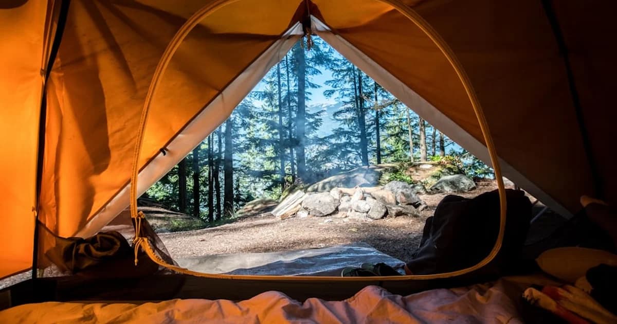 Best States for Van Life 2026: Top 10 Ranked